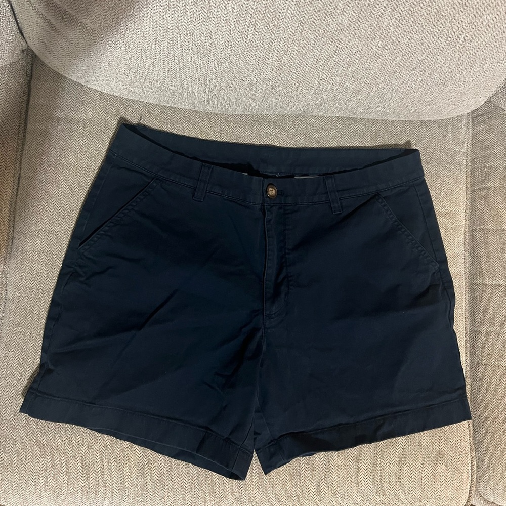 Chubbies size 34 5.5 inseam